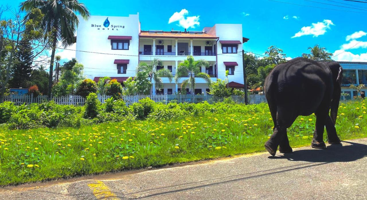 Blue Spring Hotel Wadduwa Kültér fotó